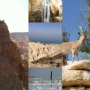 Мёртвое море, река Иордан, крепость Масада, оазис Эйн Геди.